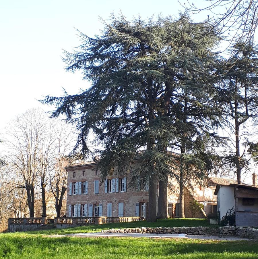 Hotel Le Jardin Des Cedres Lavaur  Exteriér fotografie