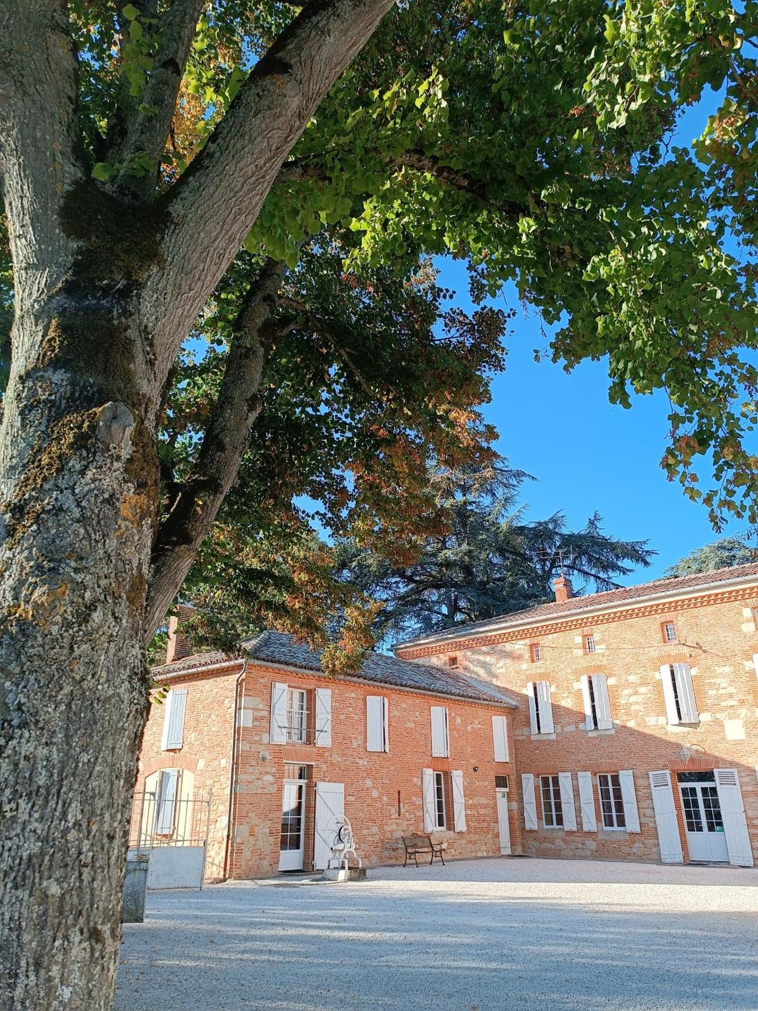 Hotel Le Jardin Des Cedres Lavaur  Exteriér fotografie