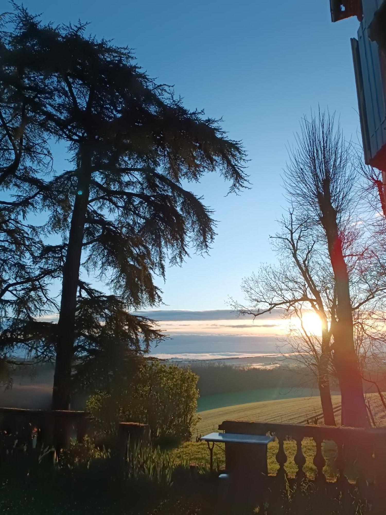 Hotel Le Jardin Des Cedres Lavaur  Exteriér fotografie
